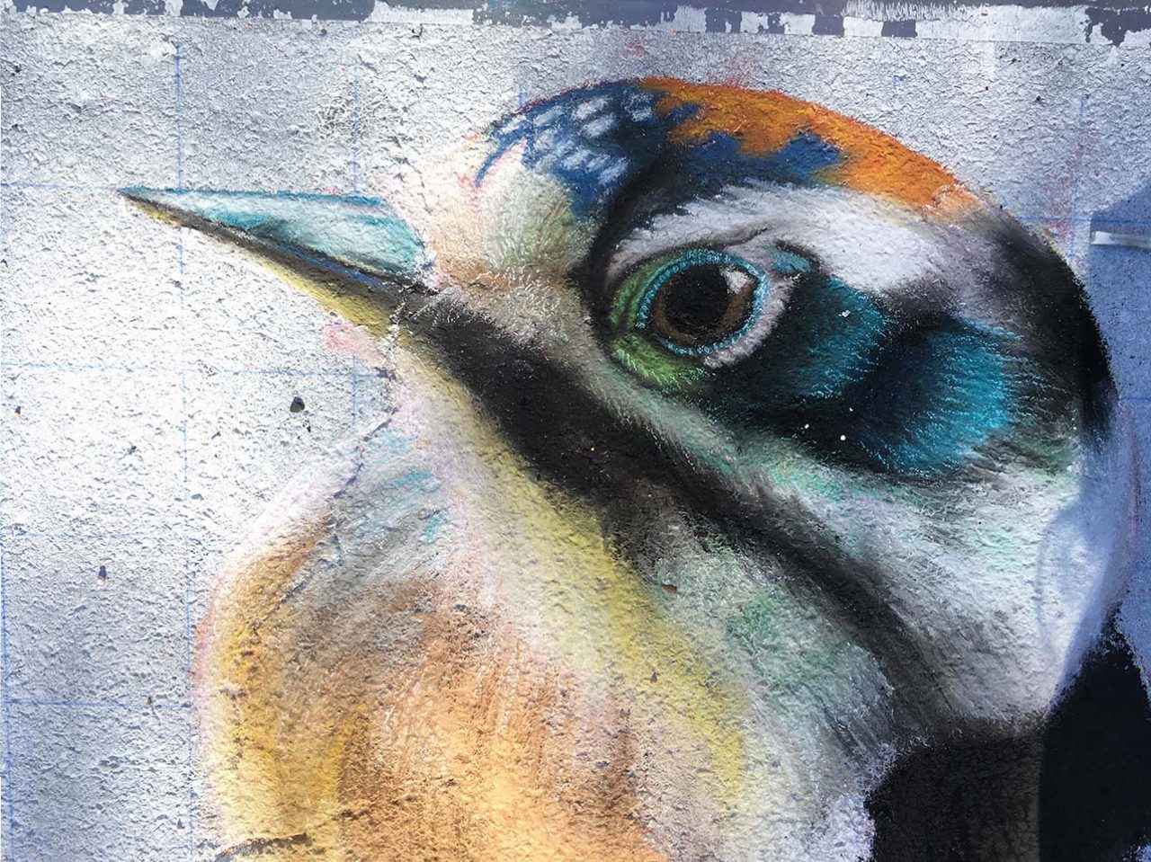 Close Up of Cathryn Bozone's Bird
