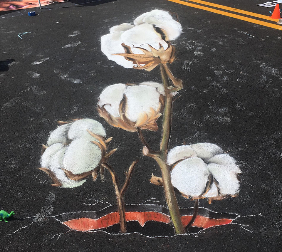 zachary-herndon-cotton